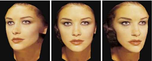 A 3D face recreated from a single image