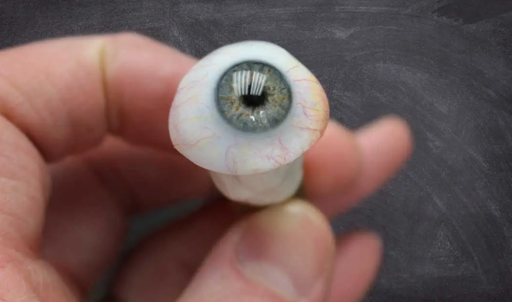 A high-quality prosthetic eye with realistic iris patterns and coloring