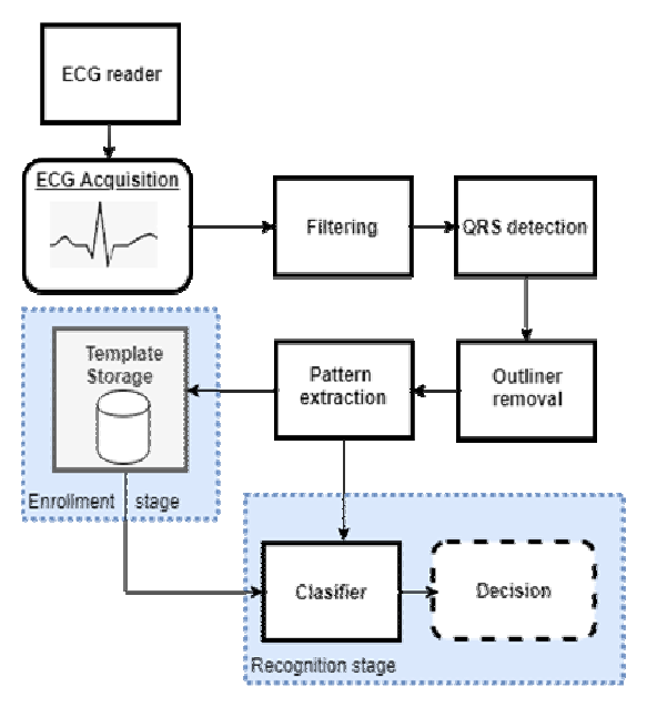 Architecture of a typical ECG-based recognition system
