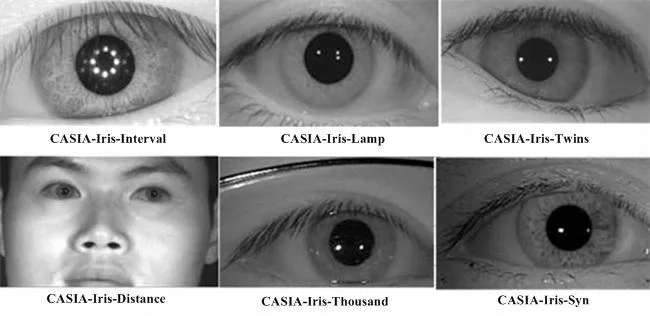 Samples of human irises in the CASIA-IrisV4 database used for liveness detection training