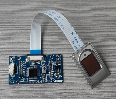 Example of a capacitive fingerprint sensor
