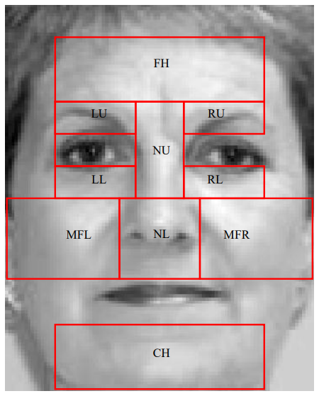 Facial decomposition into potential surgical regions for anti-spoofing and recognition