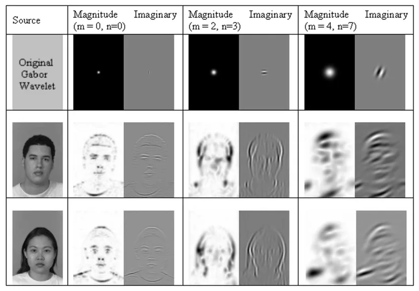 Gabor wavelet used in detecting faces of man and woman