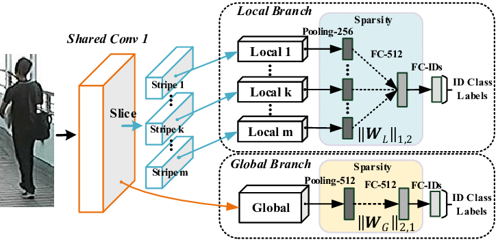 The joint learning principle implemented in a CNN model (Joint Learning Multi-Loss)