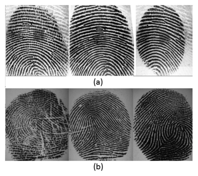 Live (a) and fake (b) fingerprints from the LivDet dataset