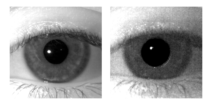 Live human iris (left) and a printed iris (right)