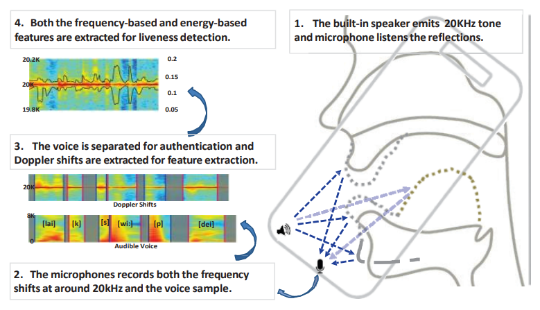 A smartphone sends a signal towards the user and measures the articulatory gestures to detect if user is real