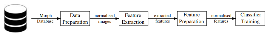 Morphed Attack Detection (MAD) detection flowchart