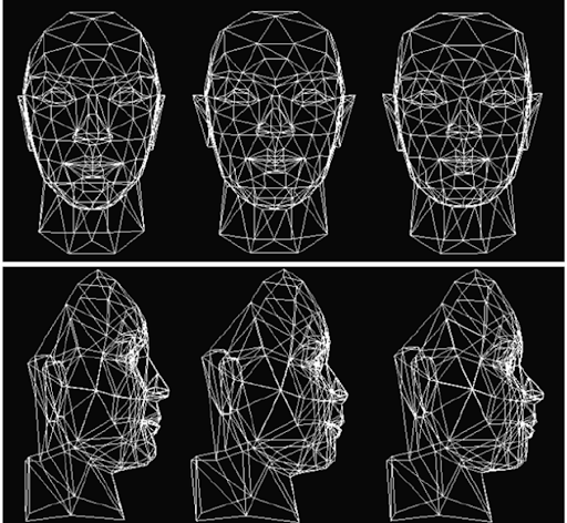 Mesh used as a frame for the synthesized face and head