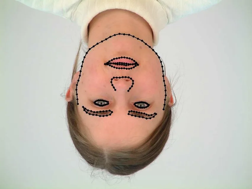 Facial features of a woman are detected from an upside down photo in Repositioned PUT dataset
