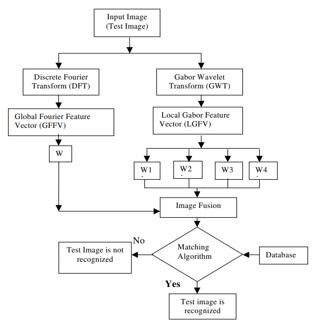 Flow chart of Global and Local feature analysis in facial detection