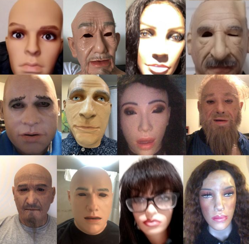 Silicone masks and dummy heads used as PAIs in the ID.me case