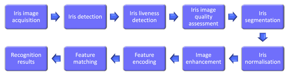 Software architecture of an IAAD system that can perform iris recognition at a distance