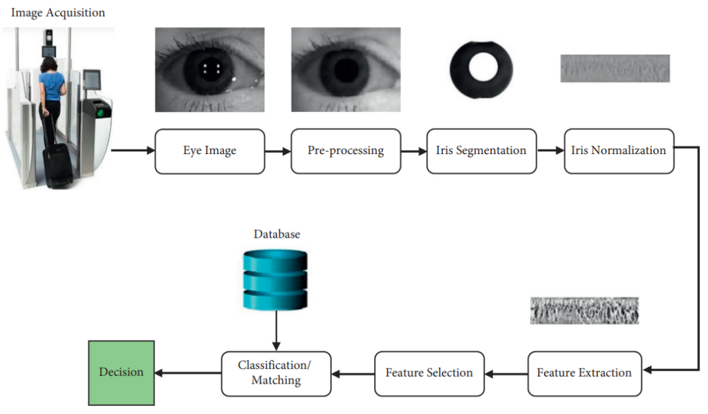 An iris recognition system used in identifying a person from their iris